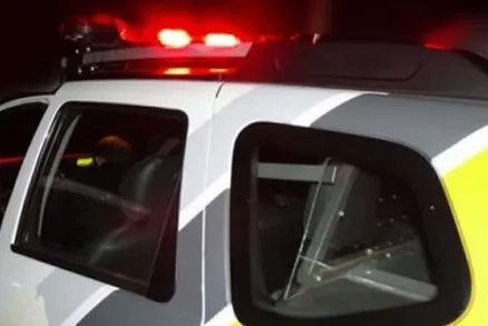 Sujeito abate três suínos em propriedade e leva os animais e três câmeras de segurança em Guaíra