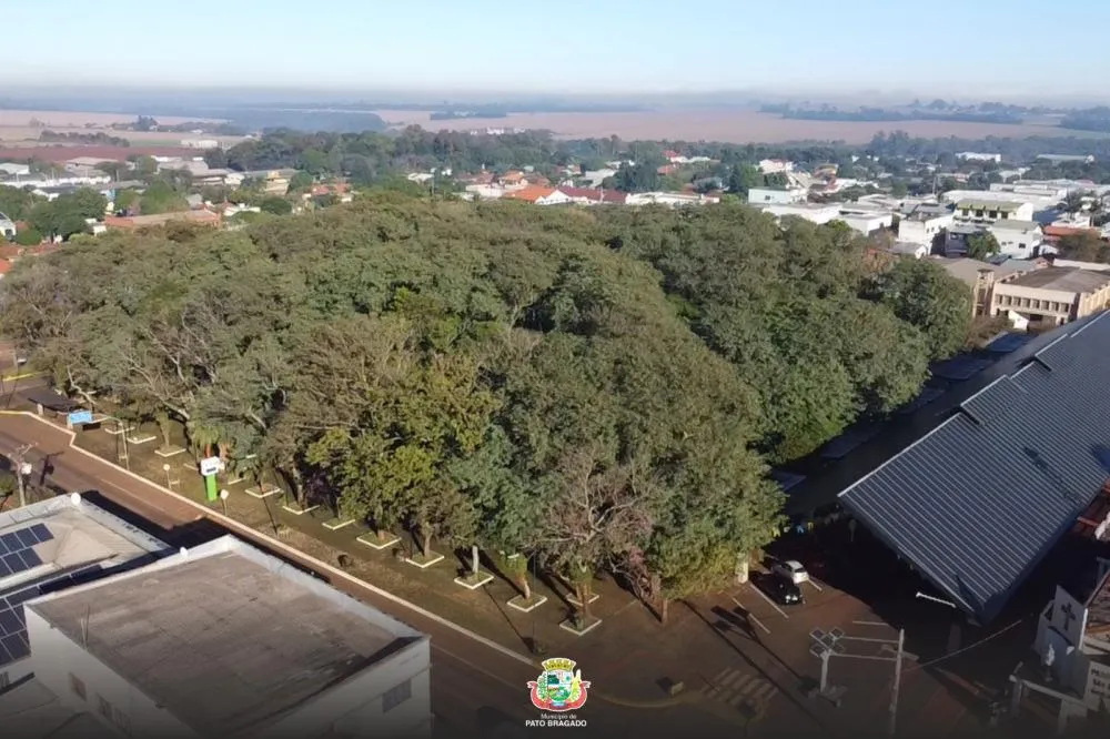 Pato Bragado fará audiência pública sobre Plano Municipal de Arborização Urbana